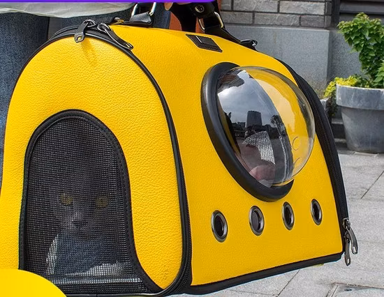 Sac à dos pratique, espace transparent, cabine en PU respirant, transporteur pour animaux de compagnie