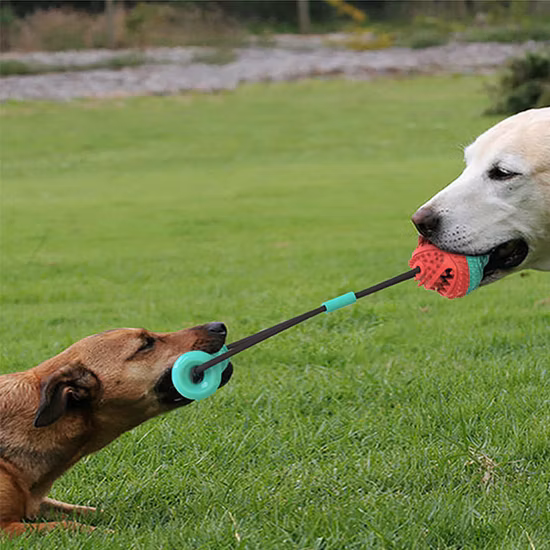 Balle de jeu roulante pour chien, nouveau Design, Puzzle et jouet à mâcher pour animaux de compagnie, friandises, balle en caoutchouc, jouets à défilement infini pour chien