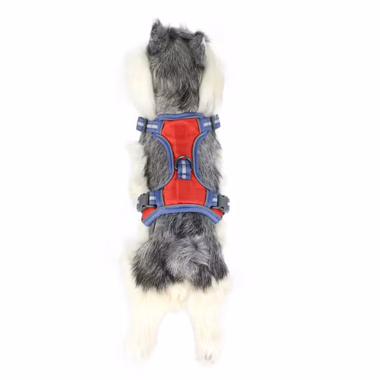 Produit pour animaux de compagnie de cage de collier extérieur de voyage réglable en gros respirant