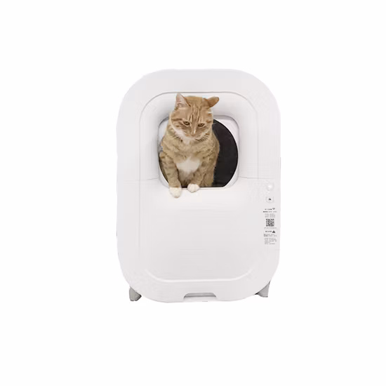 Capot amovible Nettoyage automatique Bac à litière pour chat Boîte anti-pincement Pelle automatique Toilettes pour chat Kitty Touche de raccourci intelligente Fonctionnement WiFi Bac à litière pour chat à ramassage intelligent