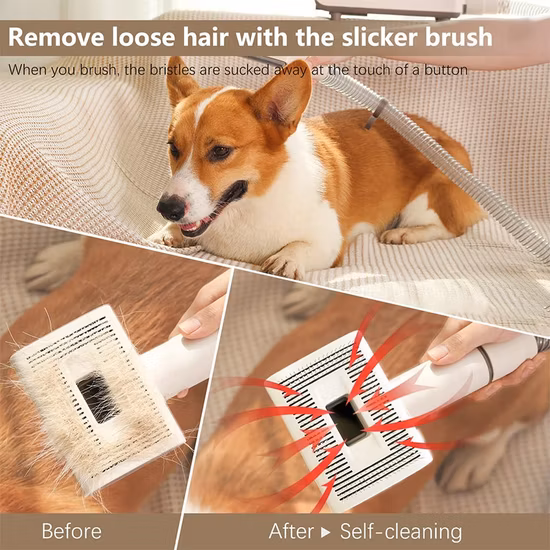 Aspirateur de toilettage pour animaux de compagnie avec tondeuses, brosse à poils de chien et de chat, Kit d'outils d'épilation