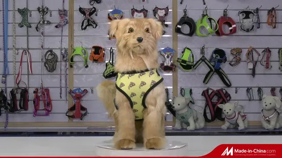 Laisse et harnais pour chien de compagnie, accessoire réglable pour chien, laisses souples pour animaux de compagnie