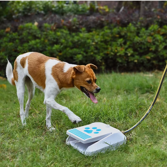 Petstar Amazon vente chaude chien pédale extérieure distributeur d'eau pour animaux de compagnie fontaine étape sur chien distributeur d'eau automatique